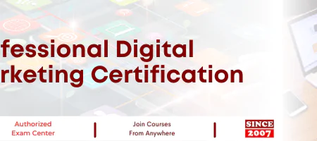 Professional Digital Marketing Certification